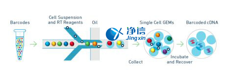 中國人自己的微流控單細(xì)胞測序儀來了！_微流控Drop-seq,微流控技術(shù)