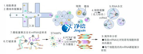 中國人自己的微流控單細(xì)胞測序儀來了！_微流控Drop-seq